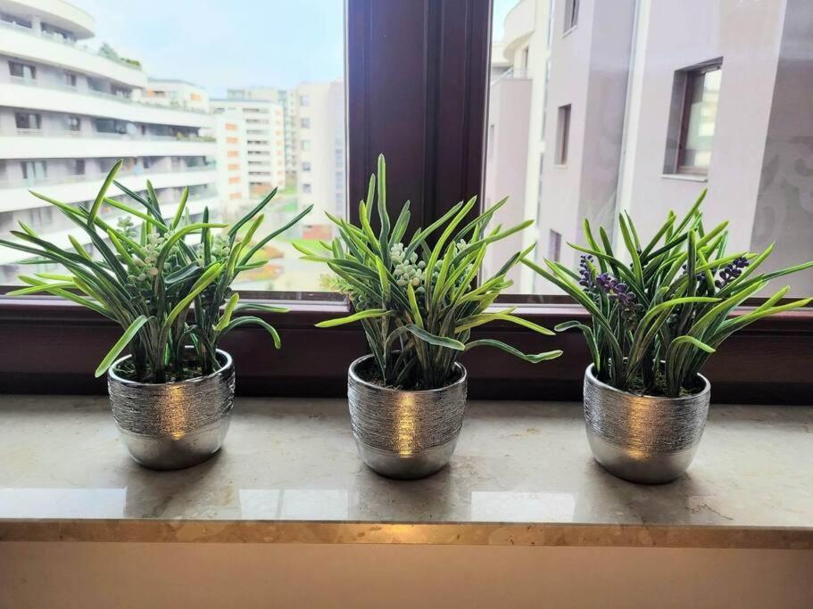 Apartment Sophie 3 Rooms, 2 Bathrooms, 8 Persons Красков Екстериор снимка